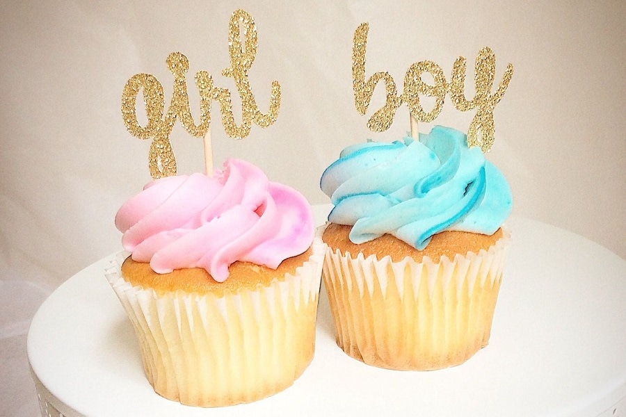 WBS - header - gender reveal baby shower