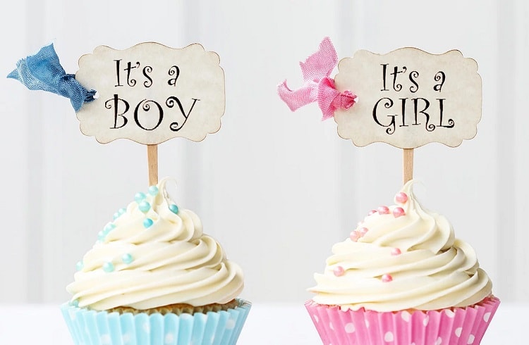 cupcakes with boy and girl signs