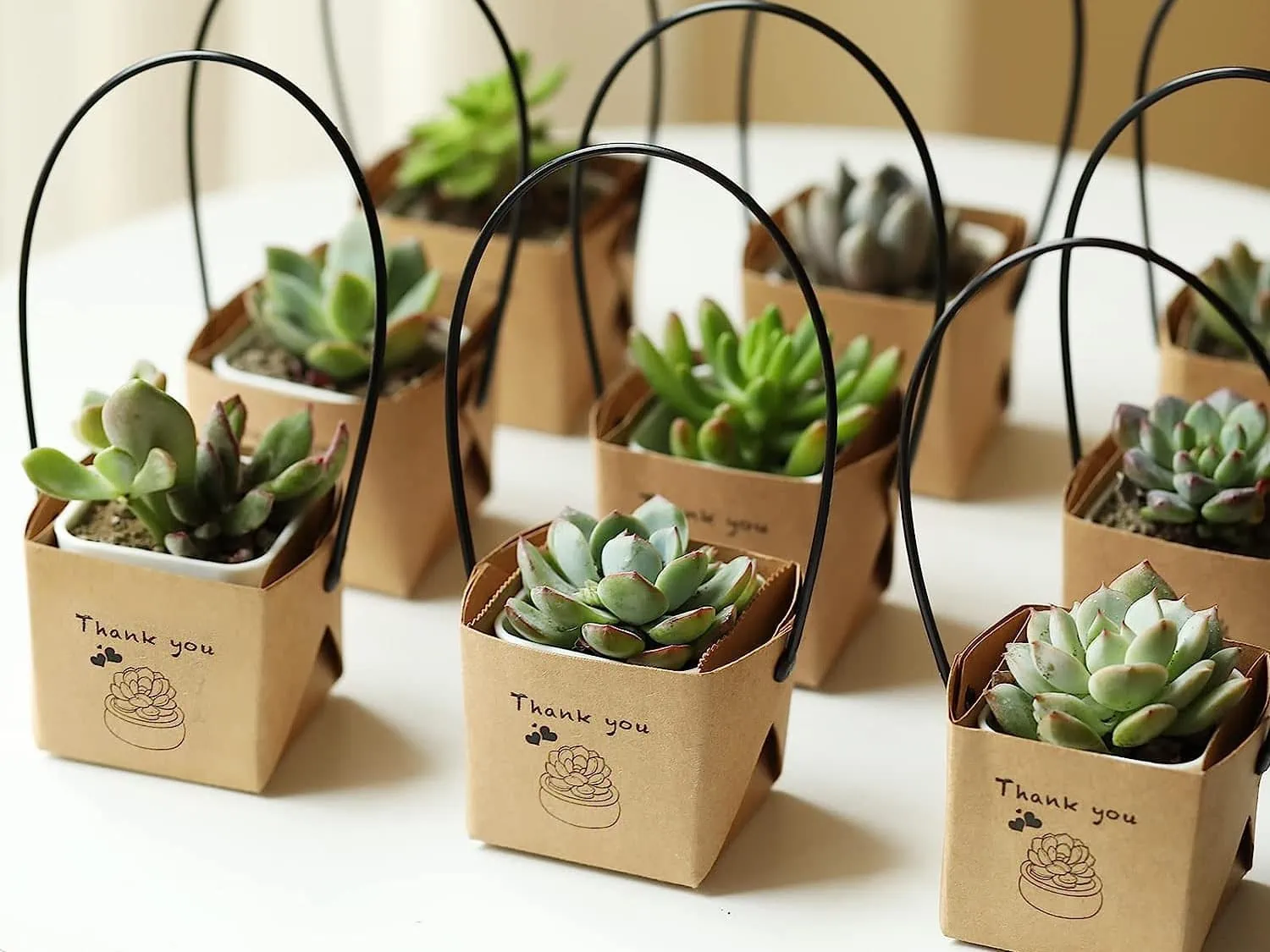 succulent baby shower favor