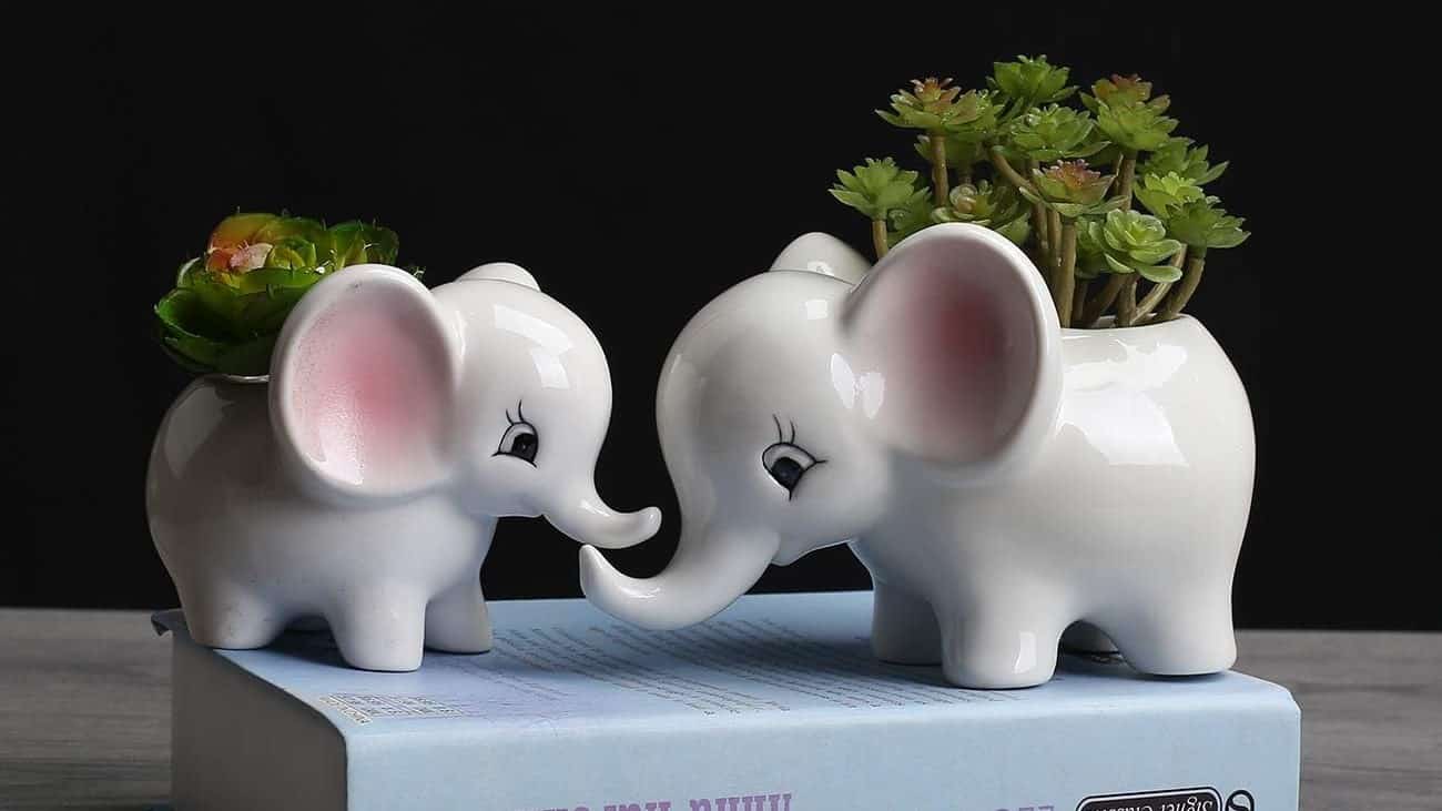 wbs theme elephant favor