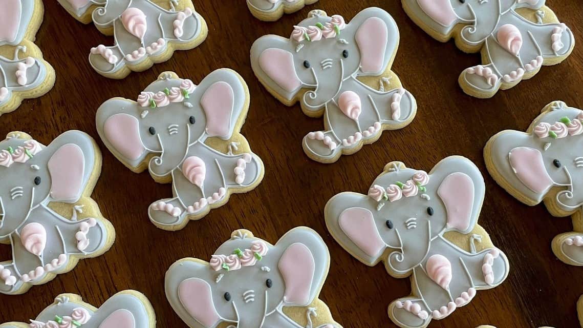 wbs theme elephant food