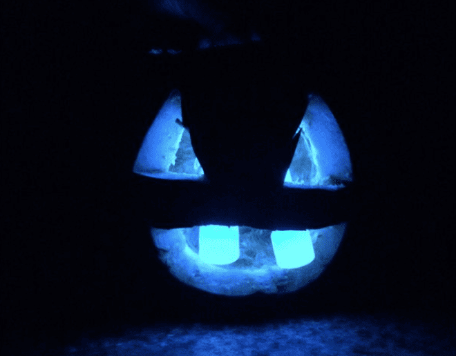 halloween gender reveal ideas