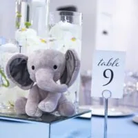 a picture of an elephant baby shower organized by Memories Made Events Inc in New York City