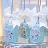 a picture of an elephant baby shower organized by Memories Made Events Inc in New York City
