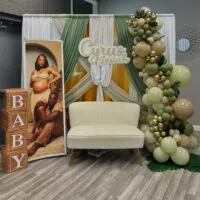 a picture of a safari baby shower organized by Iṣẹlẹ DFW Event Company in Joliet, Illinois