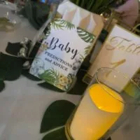 a picture of a safari baby shower organized by Shelly's Sweet Events in Queens