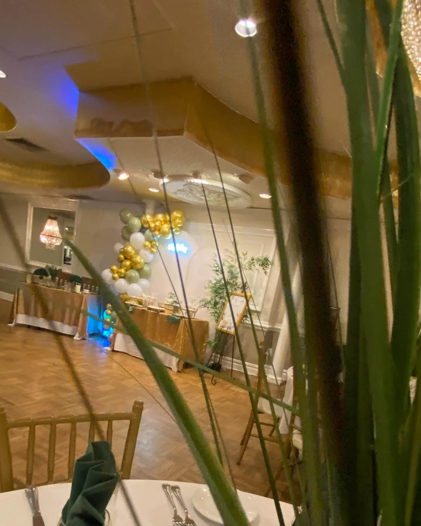 a picture of a safari baby shower organized by Shelly's Sweet Events in Queens