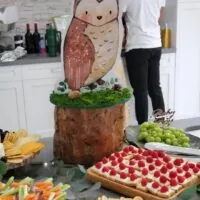a picture of a woodland baby shower organized by Weot 2 Party in South Florida