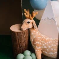 a picture of a woodland baby shower organized by Suasana Event in Kuala Lumpur