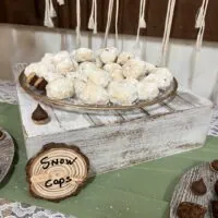 a picture of a woodland baby shower organized by The Livery Stables in Pleasant View Tennessee