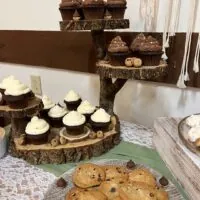a picture of a woodland baby shower organized by The Livery Stables in Pleasant View Tennessee