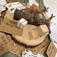a picture of a woodland baby shower organized by The Livery Stables in Pleasant View Tennessee